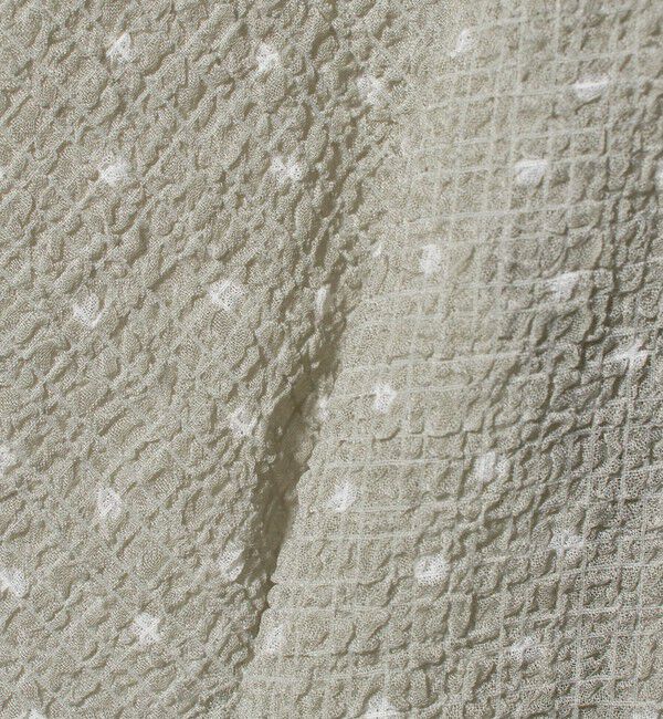 BEAUTY&YOUTH UNITED ARROWS「ドットシアー ショートスリーブ ブラウス ウォッシャブル」|シャツ・ブラウス|