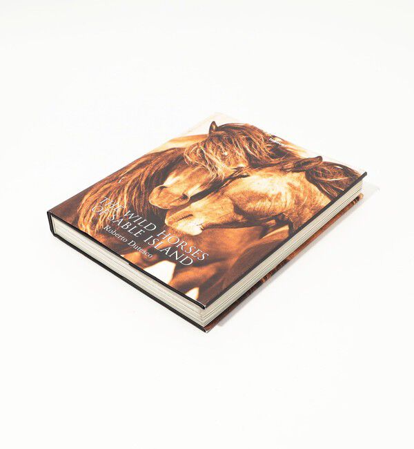 JAMES PERSE「THE WILD HORSES OF SABLE ISLAND BOOK ABK2099」|本・CD・DVD|