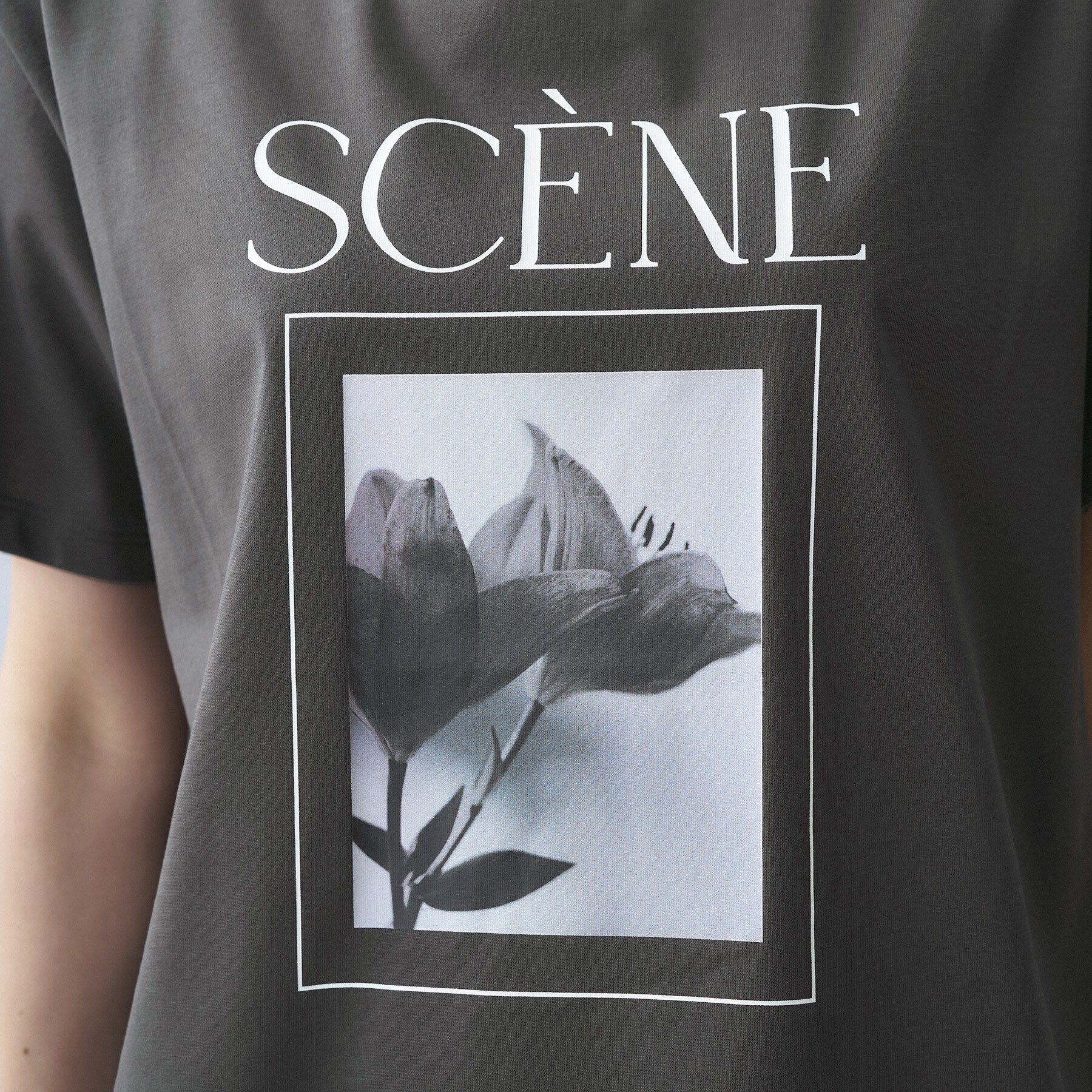 UNTITLED「【古畑星夏さん着用/ロゴ/プリント】グラフィックTシャツ」|Tシャツ・カットソー|