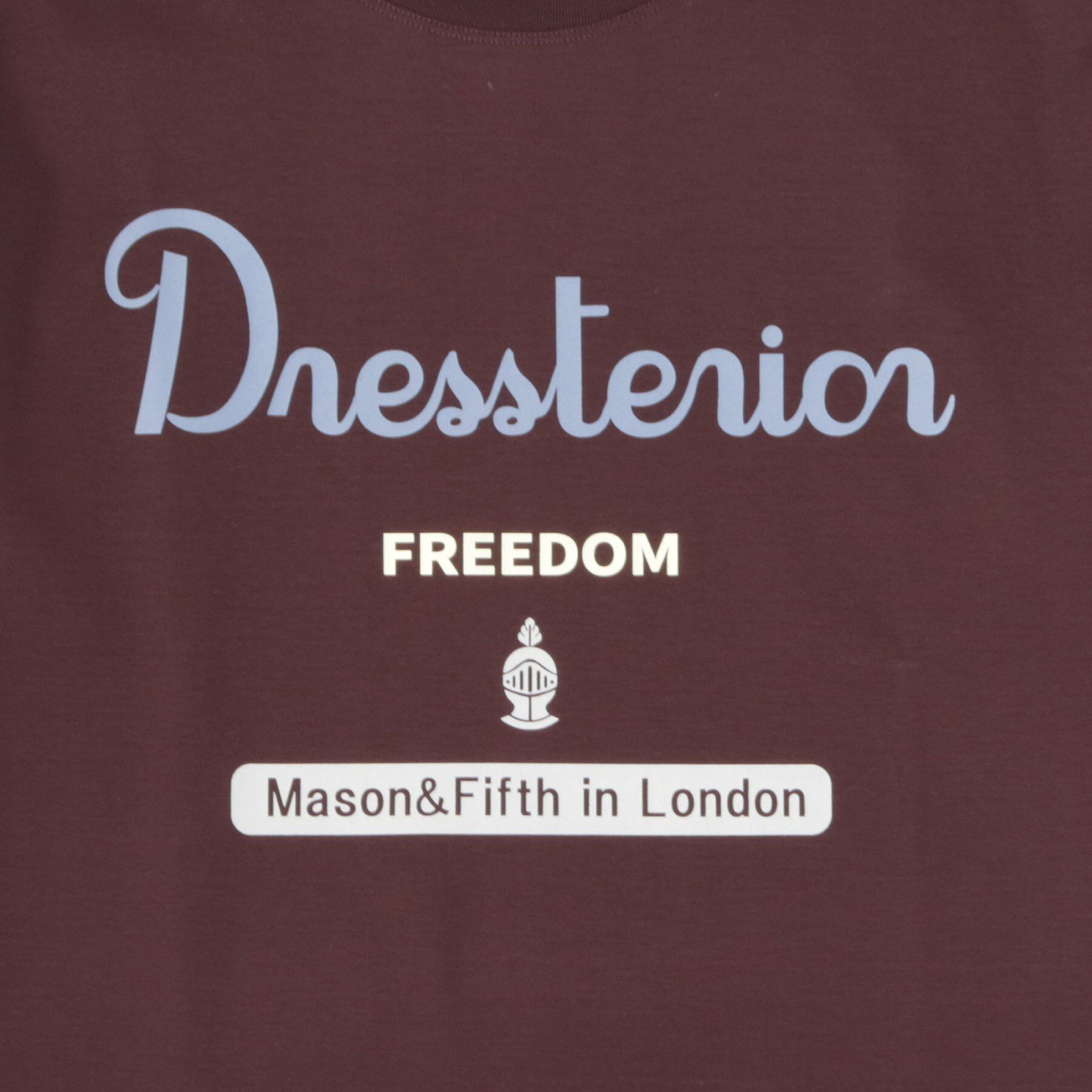 DRESSTERIOR「【接触冷感/抗菌防臭/消臭】ICE CLEAR COTTON ロゴT」|Tシャツ・カットソー|