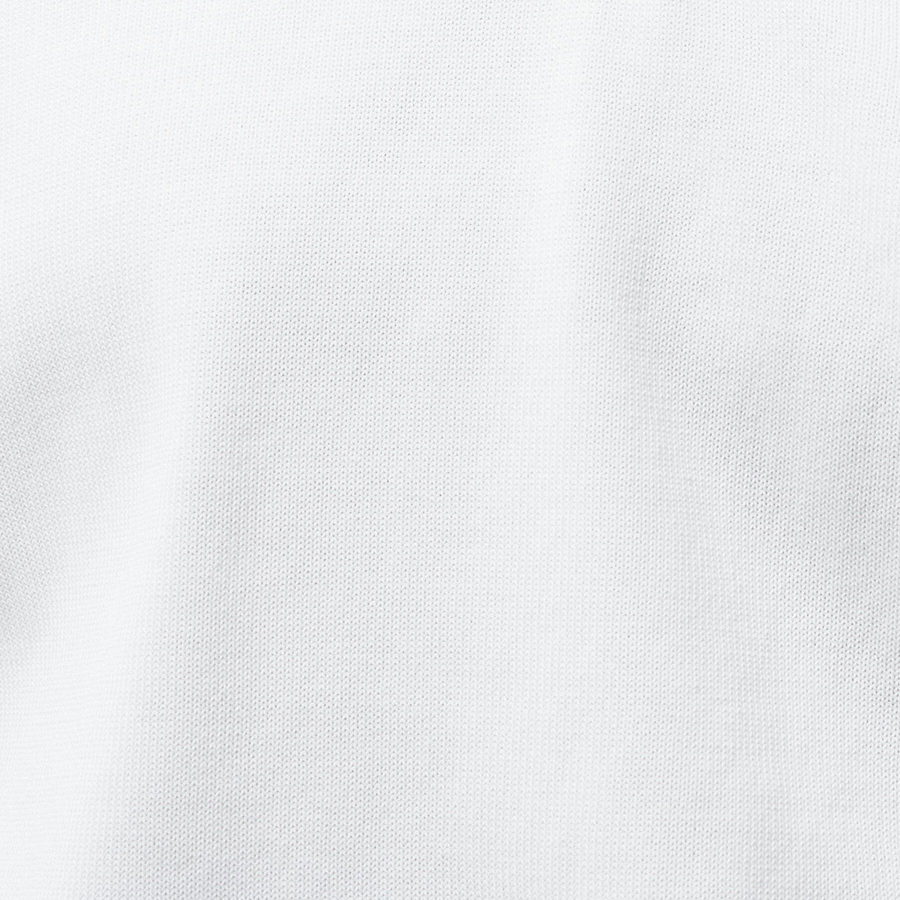 INDIVI「【洗える／コットン】ドライタッチさらりポロ襟ニットT」|ニット・セーター|