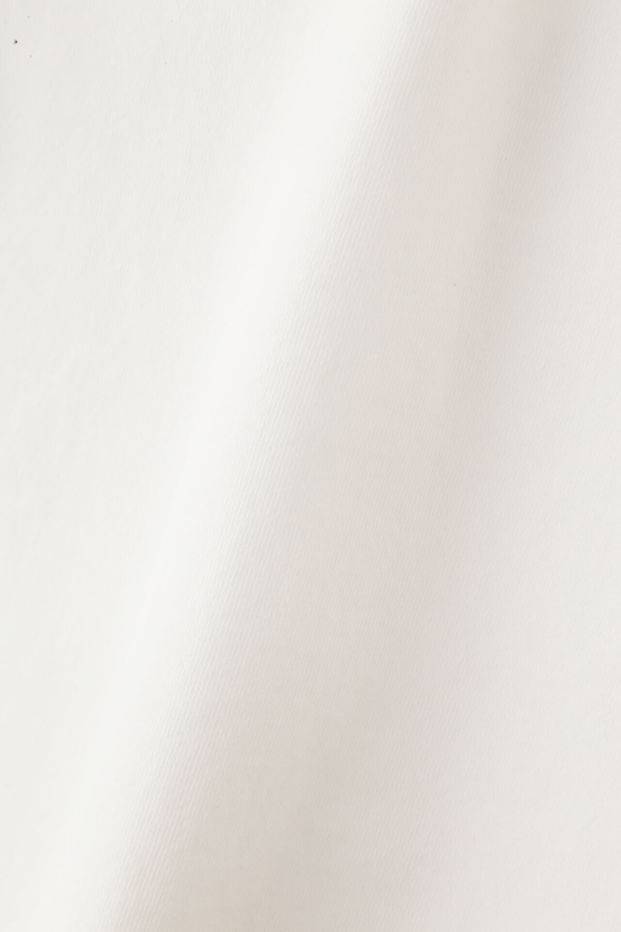 YLEVE 「Ｙ / ORGANIC COTTON JERSEY MOCK NECK P/O」|Tシャツ・カットソー|