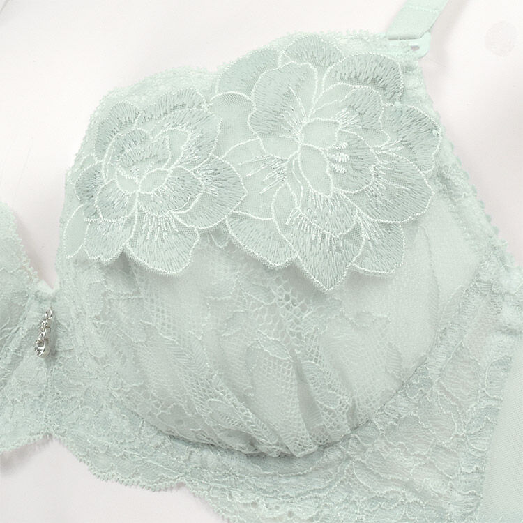 intesucre「アンテシュクレ narue&times;intesucre バストアップブラ B-F/60-75 IBT375」|インナー|