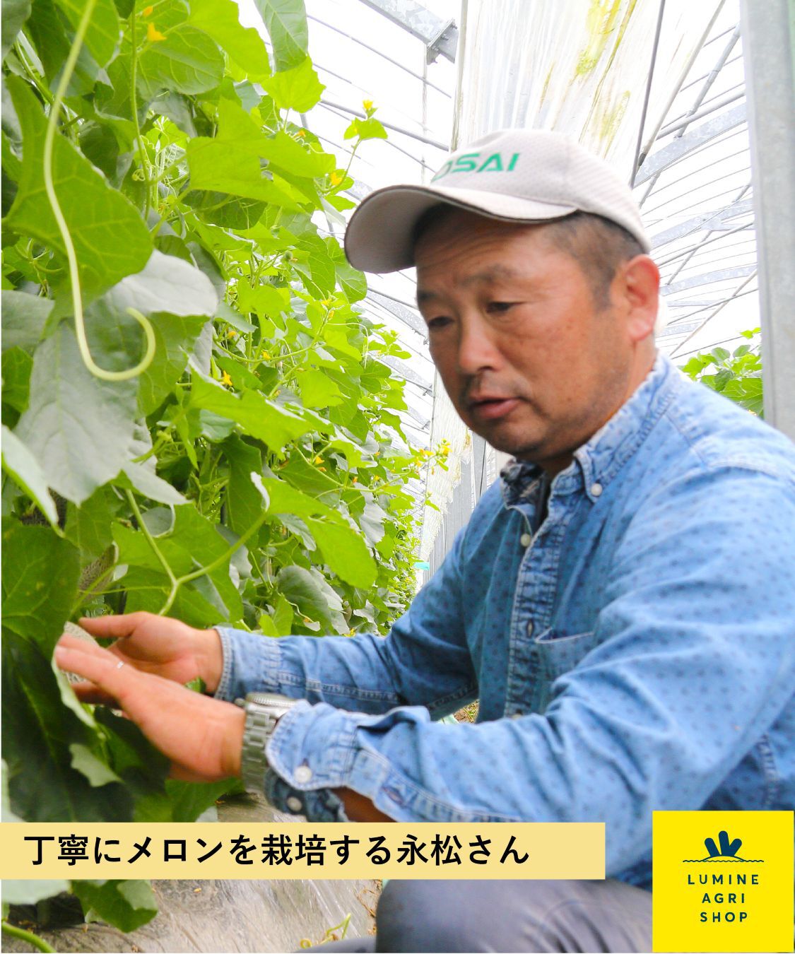 LUMINE AGRI SHOP「とろける甘さ 永松さんの肥後グリーンメロン2玉」|果物・野菜|
