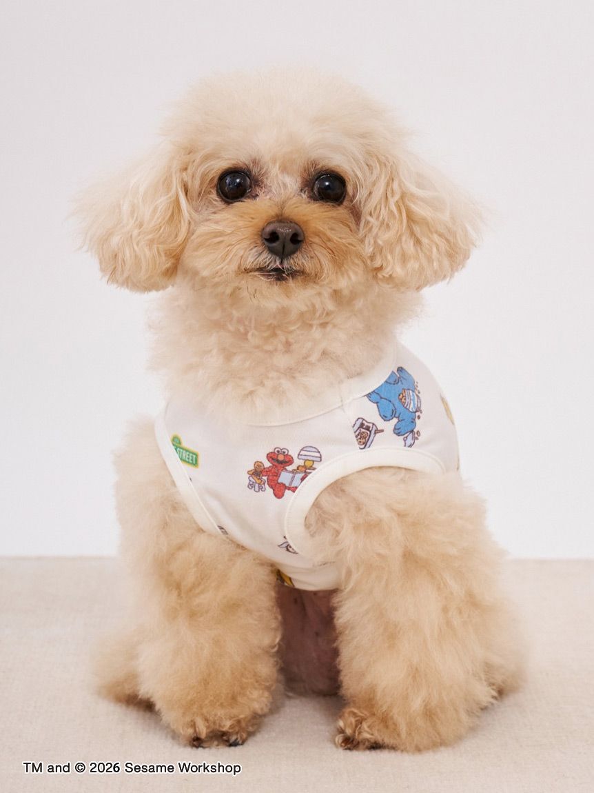  GELATO PIQUE CAT&DOG「【SESAME STREET】【CAT＆DOG】カットソープルオーバー」|その他|