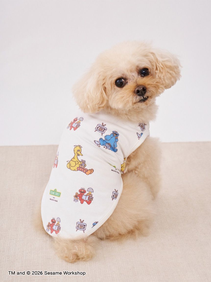  GELATO PIQUE CAT&DOG「【SESAME STREET】【CAT＆DOG】カットソープルオーバー」|その他|