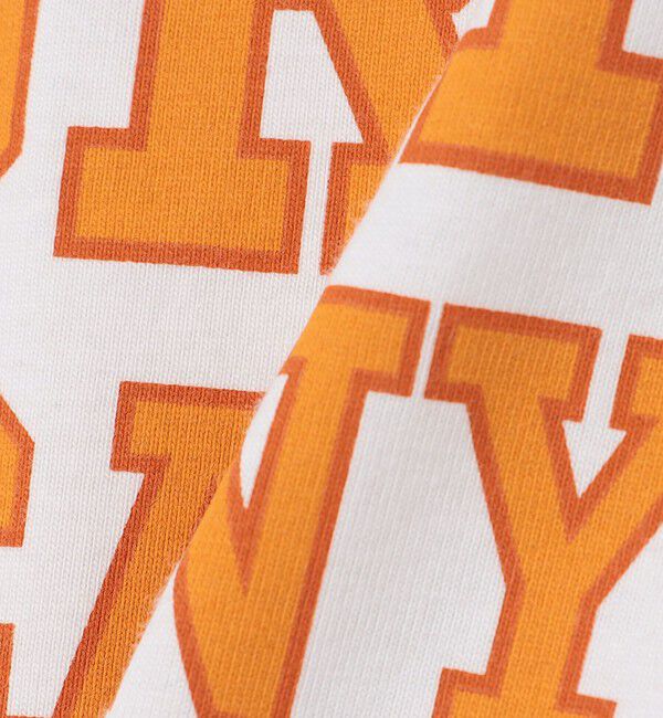 SHIPS any「SHIPS any: NATIONAL PARK ヴィンテージライク プリント Tシャツ◇」|Tシャツ・カットソー|