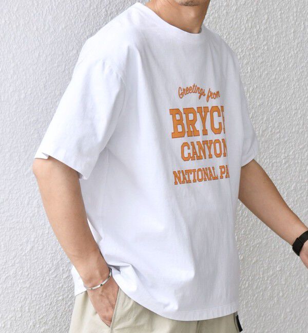 SHIPS any「SHIPS any: NATIONAL PARK ヴィンテージライク プリント Tシャツ◇」|Tシャツ・カットソー|
