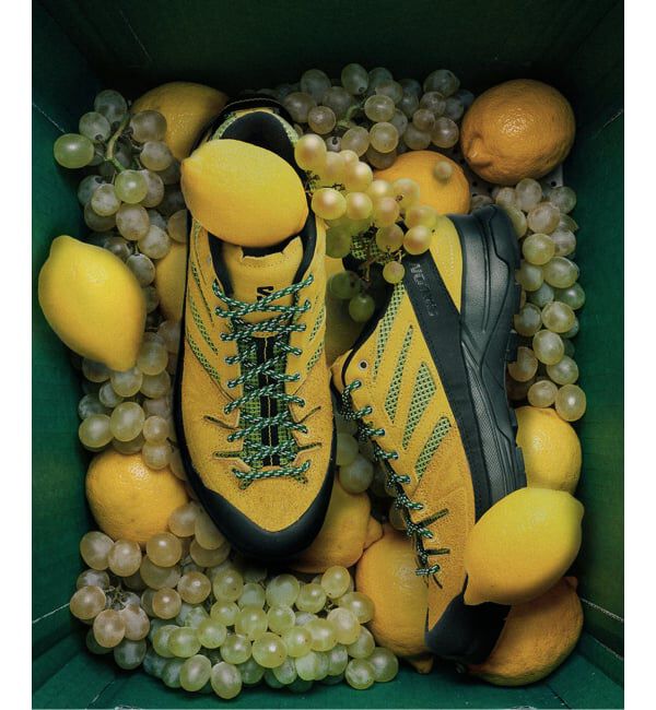 JOURNAL STANDARD「《予約》販路限定【SALOMON / サロモン】exclusive X-ALP WOVEN」|スニーカー|