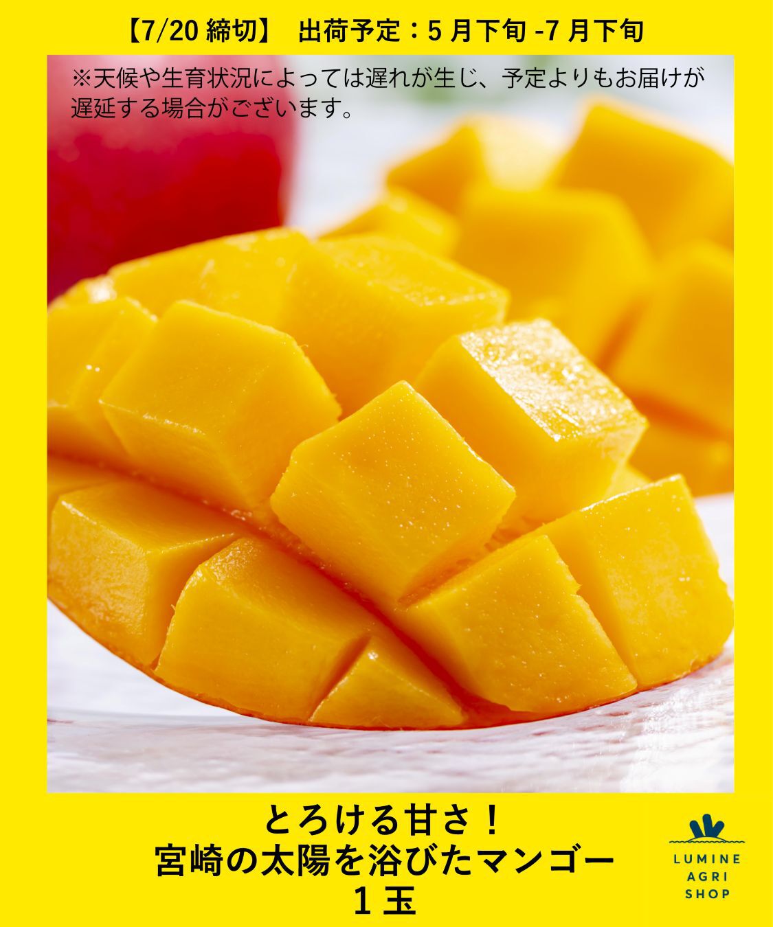 LUMINE AGRI SHOP「とろける甘さ！宮崎の太陽を浴びたマンゴー1玉」|果物・野菜|その他