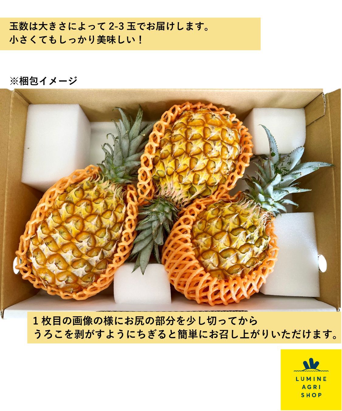 LUMINE AGRI SHOP「【L-FARMERS】ちぎって食べる！石垣島スナックパイン」|果物・野菜|