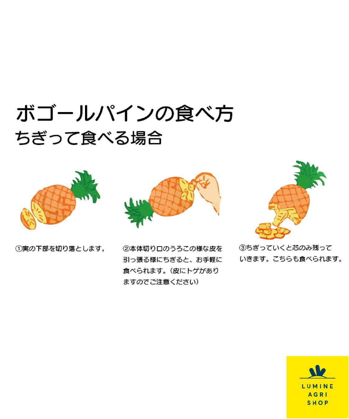 LUMINE AGRI SHOP「【L-FARMERS】ちぎって食べる！石垣島スナックパイン」|果物・野菜|
