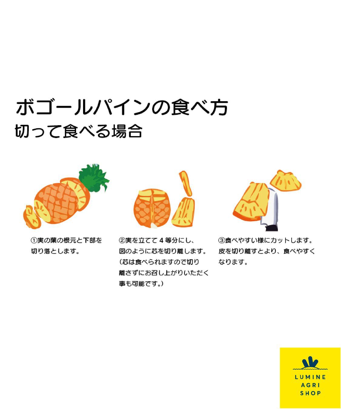 LUMINE AGRI SHOP「【L-FARMERS】ちぎって食べる！石垣島スナックパイン」|果物・野菜|
