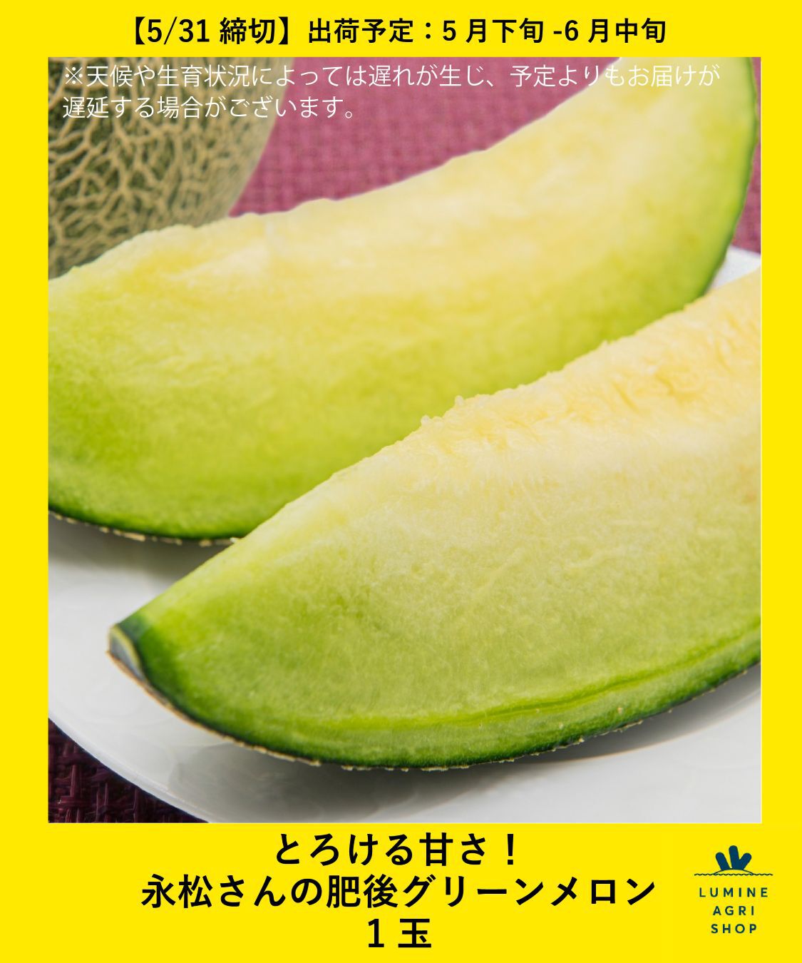 LUMINE AGRI SHOP「とろける甘さ！永松さんの肥後グリーンメロン1玉」|果物・野菜|その他