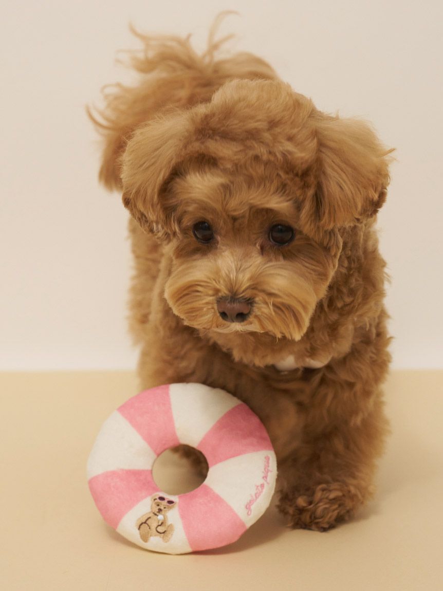  GELATO PIQUE CAT&DOG「【CAT&DOG】サマーベアトイ」|その他|