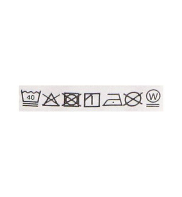 UNITED ARROWS green label relaxing「【別注】＜Champion＞プリント スウェット プルオーバー」|スウェット・ジャージ|