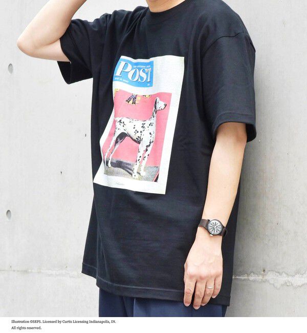 SHIPS any「SHIPS any: The Saturday Evening Post プリント Tシャツ◇」|Tシャツ・カットソー|