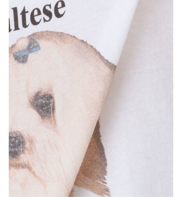 Oriens JOURNAL STANDARD「【Ashley Williams / アシュリー・ウィリアムズ】 WHITE CROPPED T-SHIRT AWAW250103」|Tシャツ・カットソー|