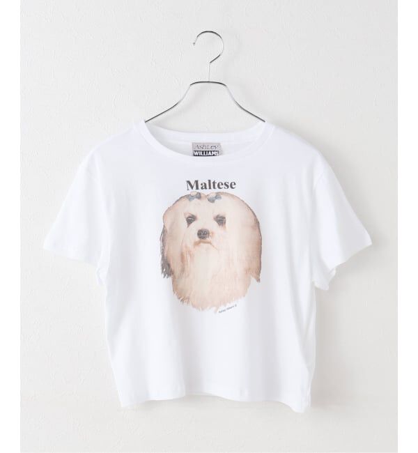 Oriens JOURNAL STANDARD「【Ashley Williams / アシュリー・ウィリアムズ】 WHITE CROPPED T-SHIRT AWAW250103」|Tシャツ・カットソー|