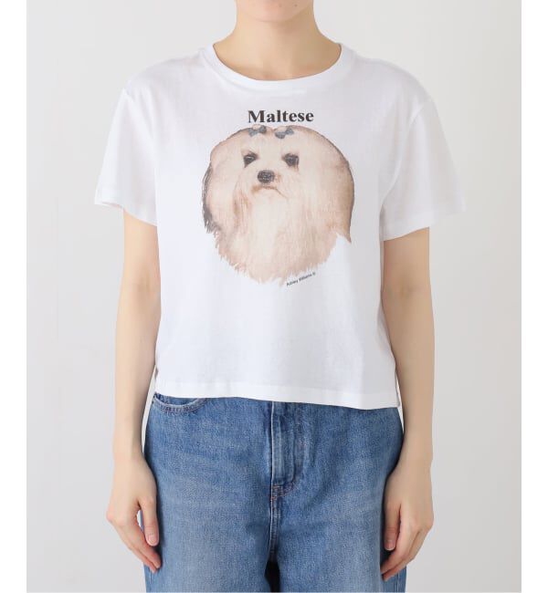 Oriens JOURNAL STANDARD「【Ashley Williams / アシュリー・ウィリアムズ】 WHITE CROPPED T-SHIRT AWAW250103」|Tシャツ・カットソー|