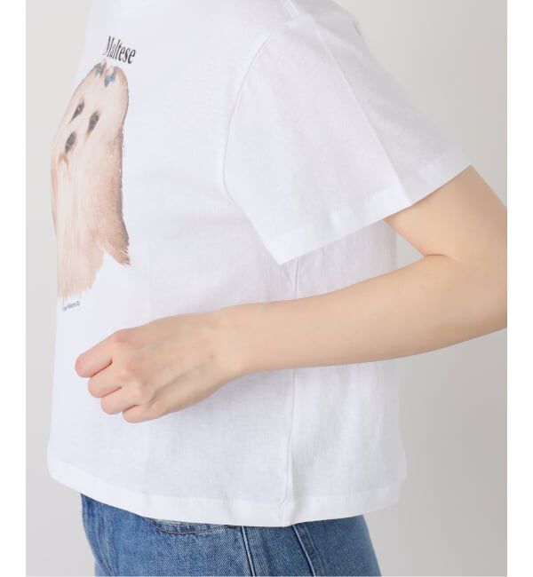 Oriens JOURNAL STANDARD「【Ashley Williams / アシュリー・ウィリアムズ】 WHITE CROPPED T-SHIRT AWAW250103」|Tシャツ・カットソー|