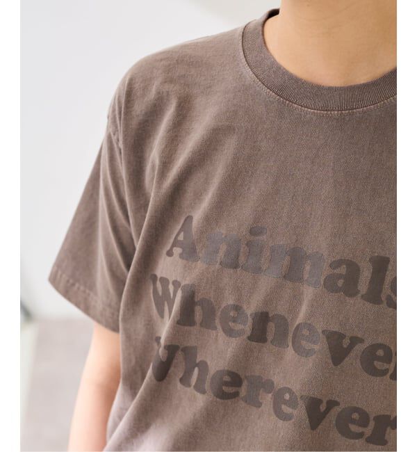 FRAMeWORK「STUDIO ANIMALS 別注WHENEVER WH」|Tシャツ・カットソー|