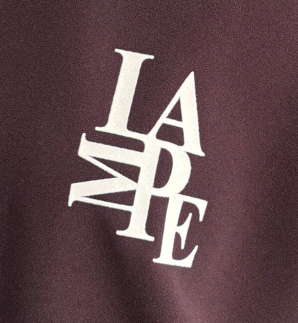  「【WEB限定】カットジョーゼットミックスロゴTEE」|Tシャツ・カットソー|