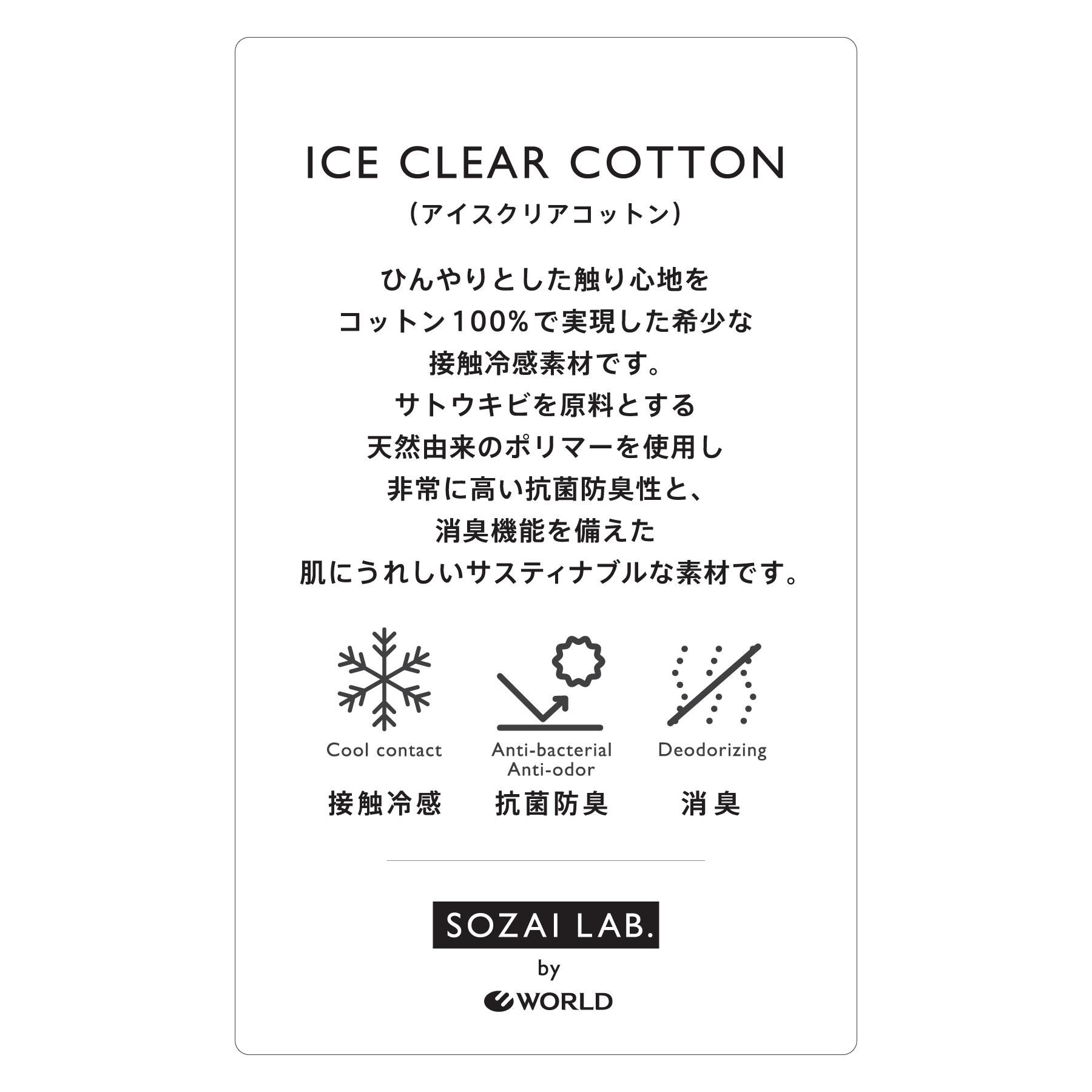 DRESSTERIOR「【接触冷感／抗菌防臭／消臭】アイスクリアコットンBonsoirロゴボーダーTシャツ」|Tシャツ・カットソー|