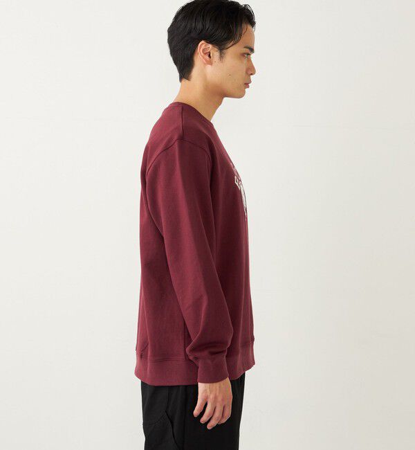 SHIPS Colors 「SHIPS Colors: TeddyBear(R) スウェット◇」|スウェット・ジャージ|
