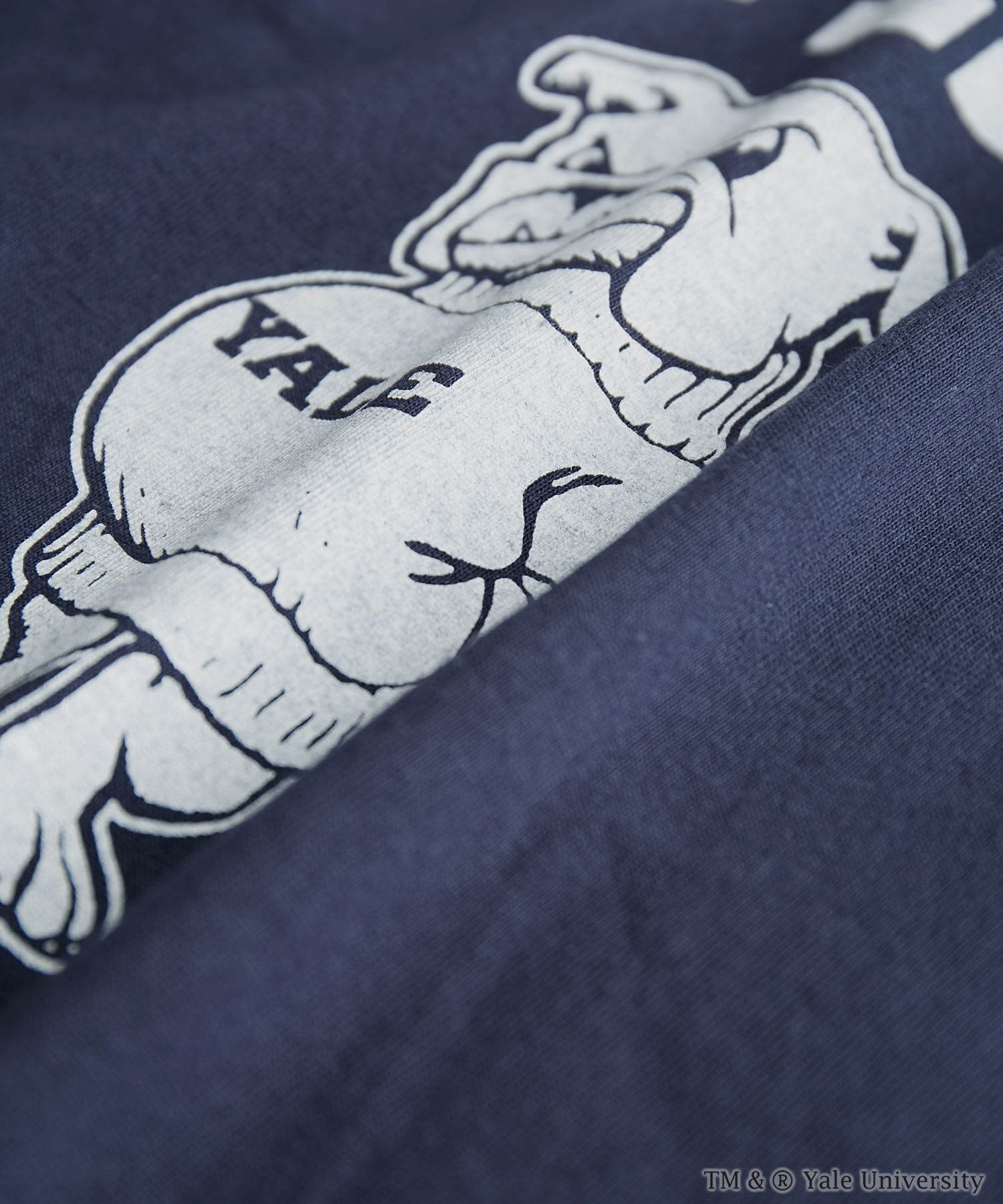 Rope&rsquo;Picnic「YALE&HARVARD/プリントTシャツ」|Tシャツ・カットソー|
