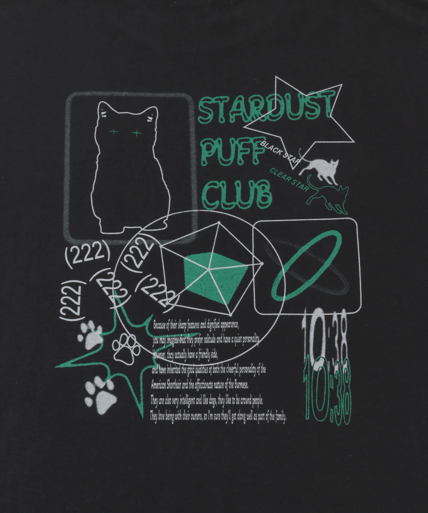 SENSE OF PLACE by URBAN RESEARCH「キャットグラフィックプリントTシャツ B」|Tシャツ・カットソー|