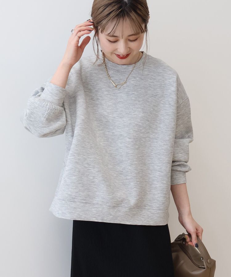AMERICAN HOLIC「【WEB限定】サイドスリットポンチプルオーバー」|スウェット・ジャージ|Gray Mixture