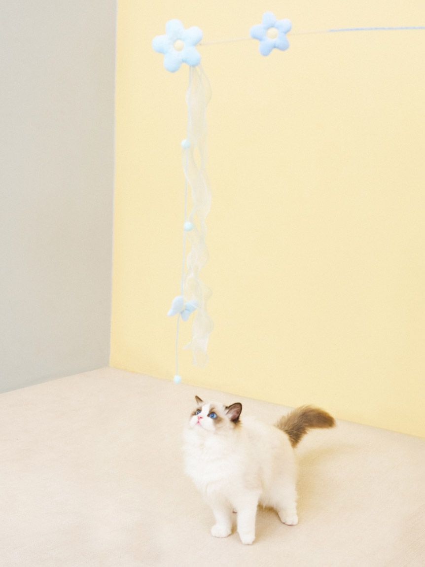  GELATO PIQUE CAT&DOG「【CAT&DOG】フラワーモチーフねこじゃらし」|その他|