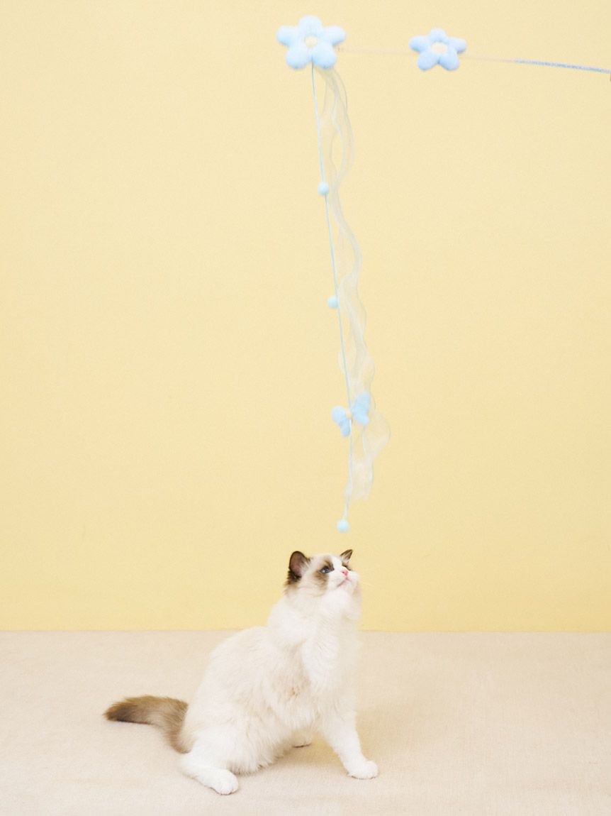  GELATO PIQUE CAT&DOG「【CAT&DOG】フラワーモチーフねこじゃらし」|その他|