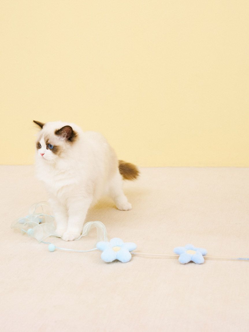  GELATO PIQUE CAT&DOG「【CAT&DOG】フラワーモチーフねこじゃらし」|その他|