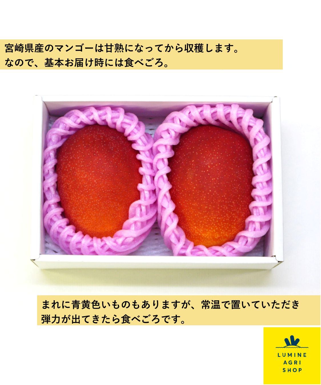 LUMINE AGRI SHOP「とろける甘さ！宮崎の太陽を浴びたマンゴー2玉」|果物・野菜|
