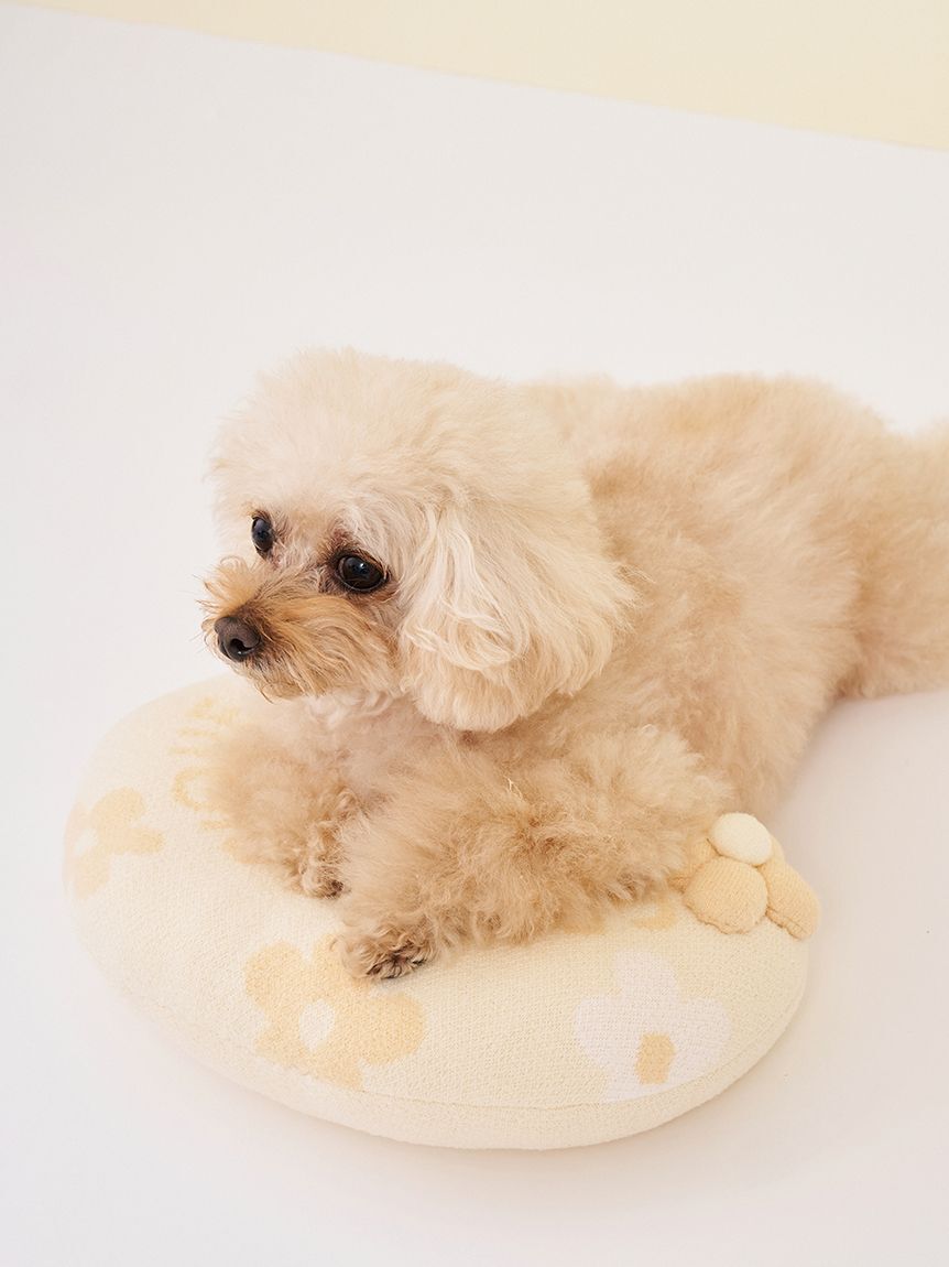  GELATO PIQUE CAT&DOG「【CAT&DOG】スムーズィーフラワーモチーフニットピロー」|その他|