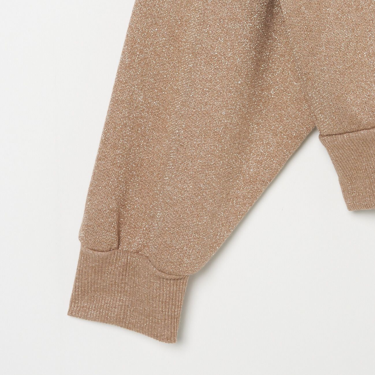 HELIOPOLE「HELIOPOLE GLITTER SWEAT SHIRT」|Tシャツ・カットソー|