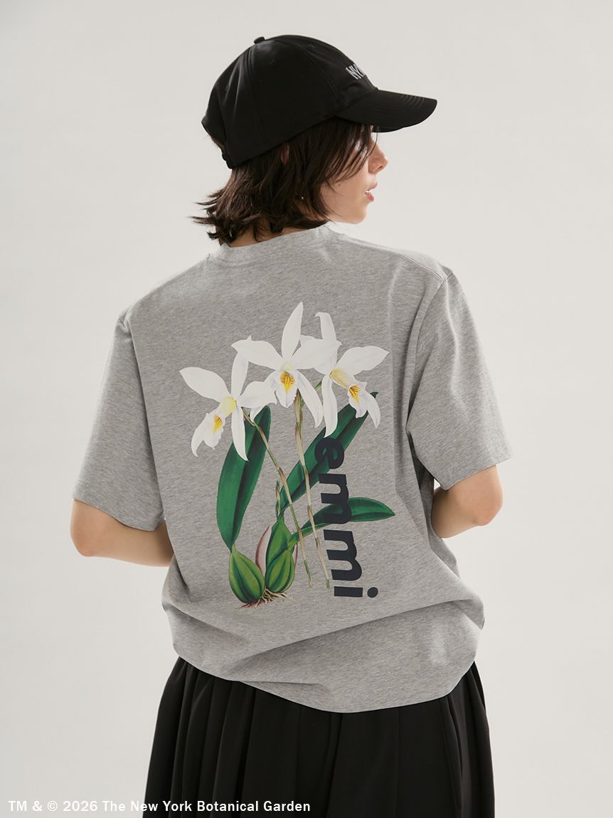 emmi atelier「【emmi&times;NYBG】グラフィックTシャツ」|Tシャツ・カットソー|