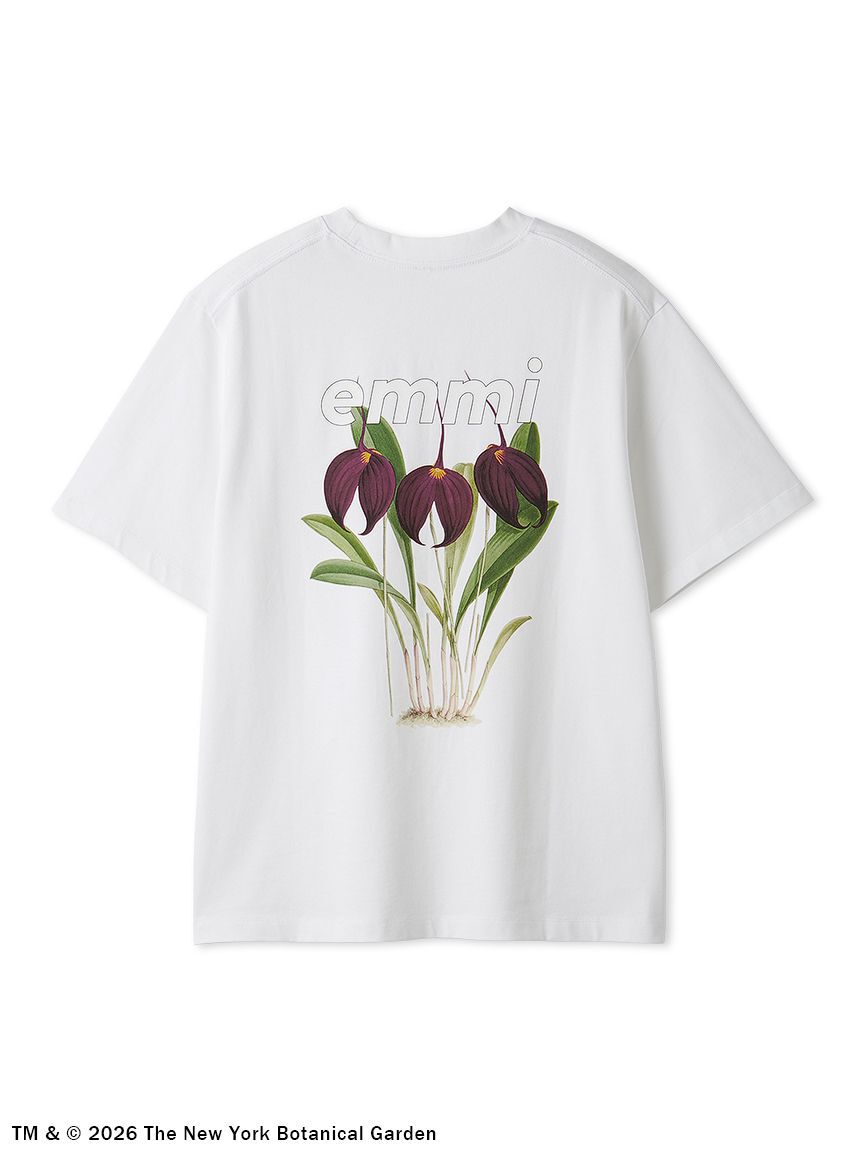 emmi atelier「【emmi&times;NYBG】グラフィックTシャツ」|Tシャツ・カットソー|