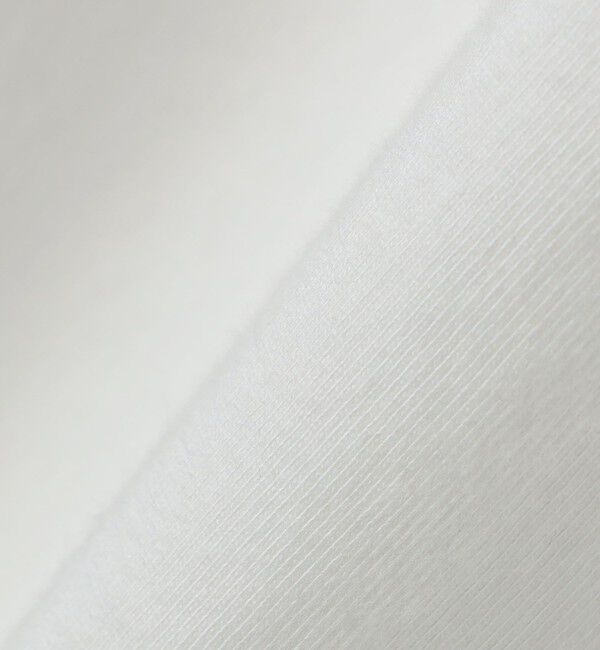 SHIPS any「【SHIPS any別注】healthknit: U.S.コットン ジャージー パック Tシャツ◇」|Tシャツ・カットソー|