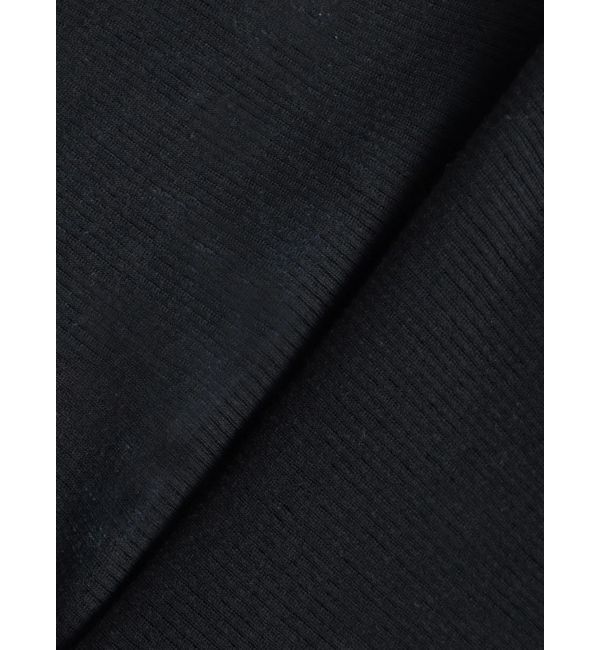 Ungrid「シアーフィットロングスリーブTee」|Tシャツ・カットソー|