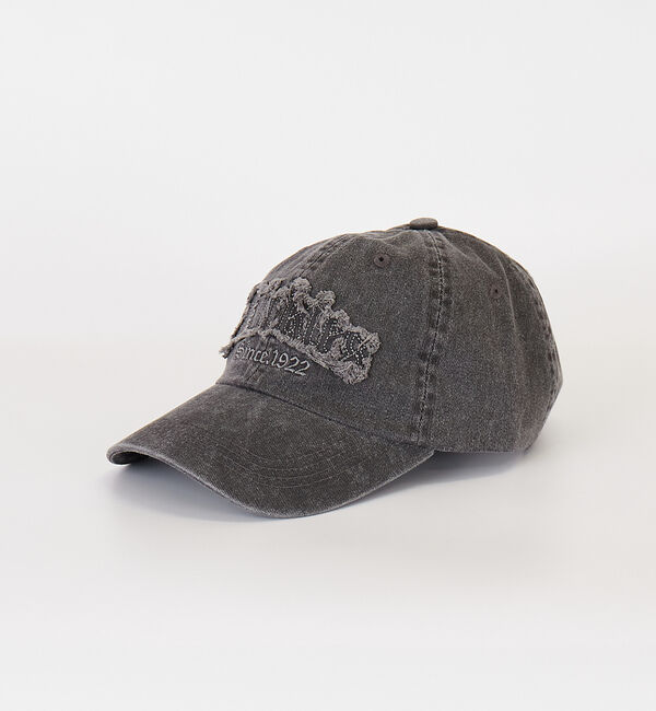 ABAHOUSE「【Dickies / ディッキーズ】PIGMENT  FRINGE LOGO C」|その他|