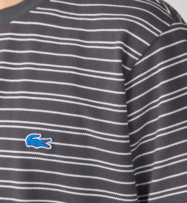 SHIPS「【SHIPS別注】LACOSTE: マイクロ ボーダー Tシャツ」|Tシャツ・カットソー|