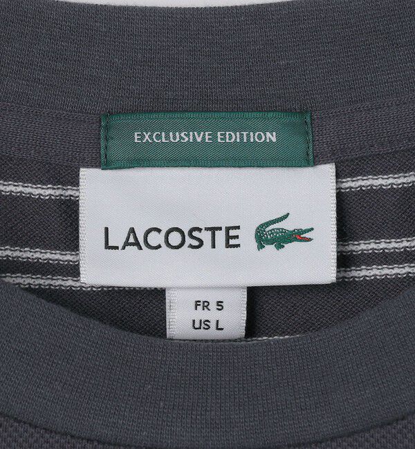 SHIPS「【SHIPS別注】LACOSTE: マイクロ ボーダー Tシャツ」|Tシャツ・カットソー|