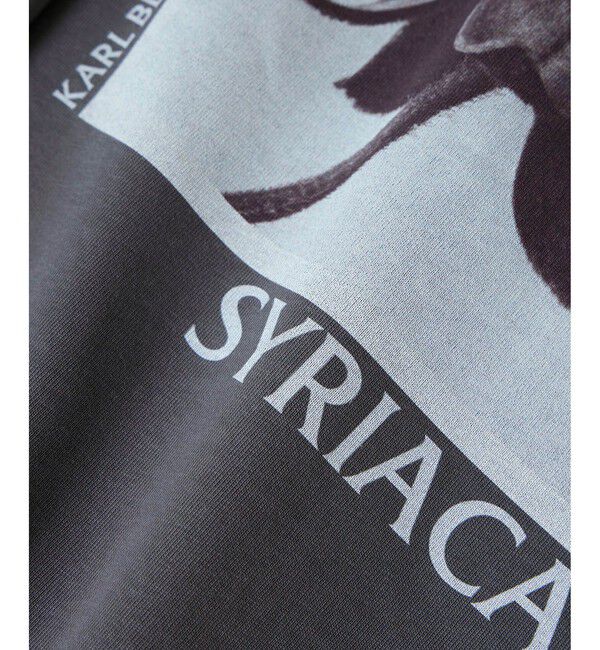 SALON adam et rope'「【KARL BLOSSFELDT  by SALON】フォトロングスリーブTシャツ」|Tシャツ・カットソー|