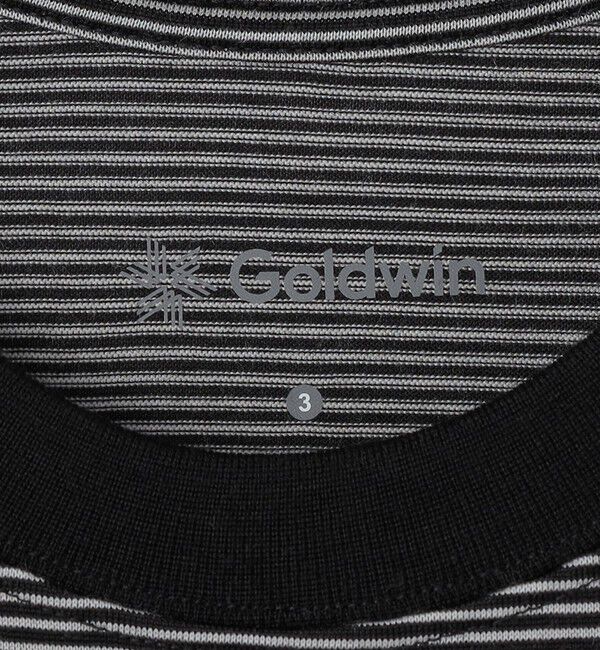 SHIPS「Goldwin: STRIPE WOOL/LYOCELL TEE」|Tシャツ・カットソー|