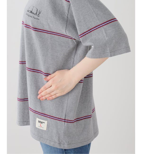  「COLLEGIATE PACIFIC MULTI BORDER T SHIRT CP-26S-005：Tシャツ」|Tシャツ・カットソー|