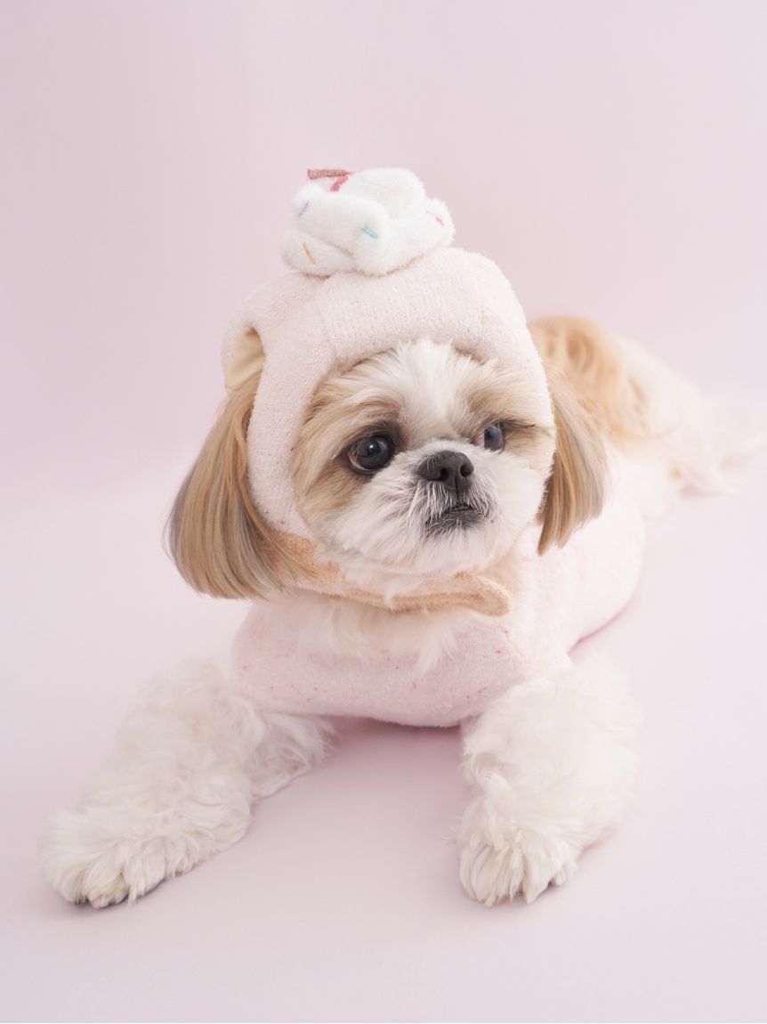  GELATO PIQUE CAT&DOG「【CAT&DOG】【Birthday】スムーズィーカップケーキジャガードプルオーバー」|その他|