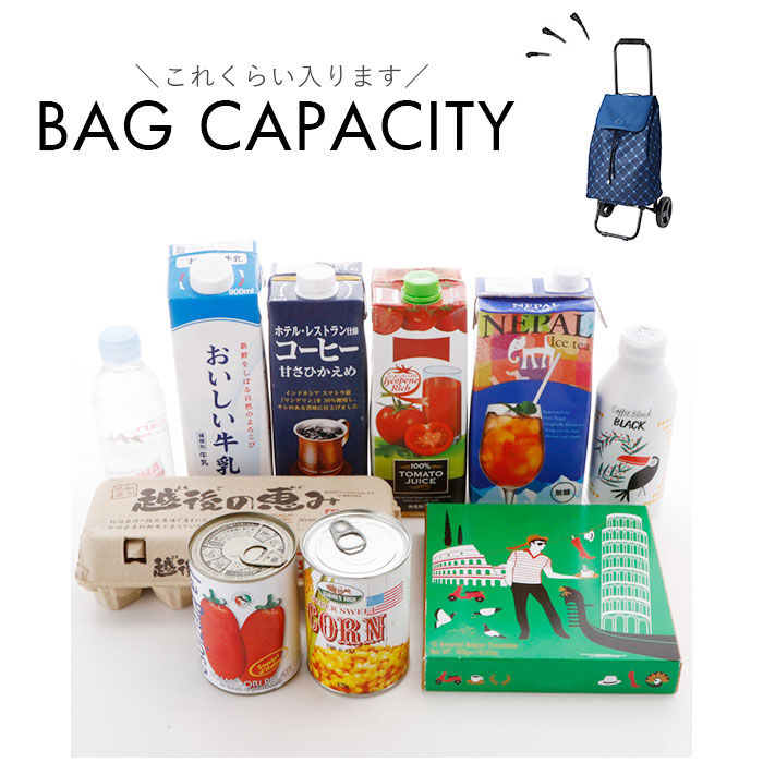 BACKYARD FAMILY「ココロ ショッピング カート 通販 ショッピングカート 2輪 cocoro 保冷 保温」|キャリーケース|